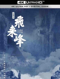 飞来峰 (2024) 飞来峰·隐秘的微笑/中国大陆/豆瓣: