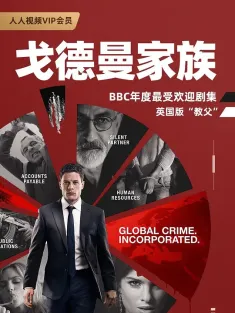 戈德曼家族 第一季 McMafia Season 1 2018 黑道无边/黑道无国界/The Godman's