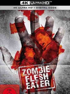 厉鬼穿心 FleshEater (1988) / 4K电影下载 / FleshEater.1988.2160p.UHD.BluRay.x265.10bit.HDR.DTS-HD.MA2.0