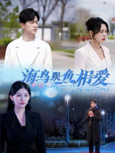 《海鸟跟鱼相爱》短剧高清全集免费在线观看播放完整版