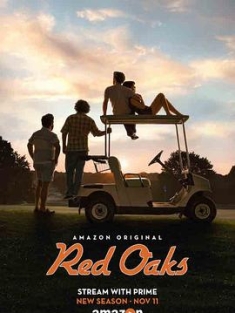红橡树 第二季 Red.Oaks.S02.AMZN.WEBRip.DDP5.1.x264-NTb[rartv]