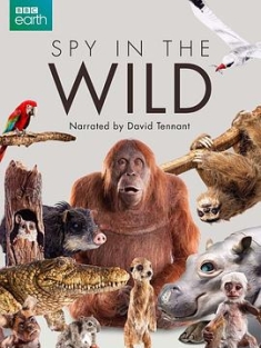 荒野间谍(纪录片) 1-2季 Spy in the Wild Season 1-2 (2017-2020) / 原野谍影 / Spy.In.The.Wild.S01-02.1080p.Bluray.Remux.AVC.DTS-HD MA -STaRGaZER