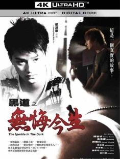 黑道之无悔今生 (2008) The Sparkle in the Dark/中国香港/豆瓣: 6.4