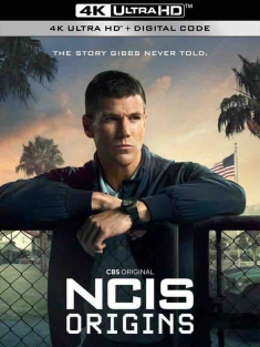 海军罪案调查处：起源 NCIS: Origins (2024) 海军罪案调查局：起源/美国/豆瓣: