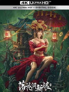 落花洞新娘 (2024) / 4K电影下载 / Luohuadong.Xinniang.2024.2160p.WEB-DL.H265.AAC