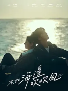 不如海边吹吹风 不如海邊吹吹風 (2024)  [中国台湾]豆瓣: