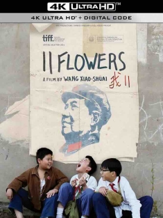 我11 (2011) 十一朵鲜花/我十一/11 flowers/豆瓣: 7.4