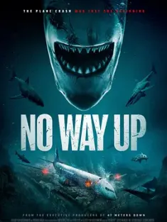 深渊鲨难 No Way Up (2024) 无路可逃 [英国]豆瓣: 4.6