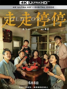 走走停停 (2024) Gold or Shit/G for Gap
