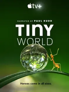 小小世界 第一季 Tiny.World.S01.2160p.ATVP.WEB-DL.x265.10bit.HDR.DDP5.1...
