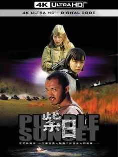 紫日 (2001) Purple Sunset [中国大陆]豆瓣: 8.5