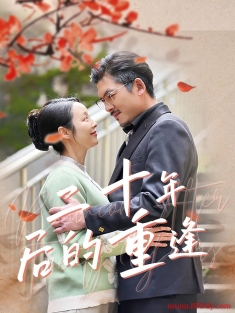《二十年后的重逢》短剧高清全集免费在线观看播放完整版