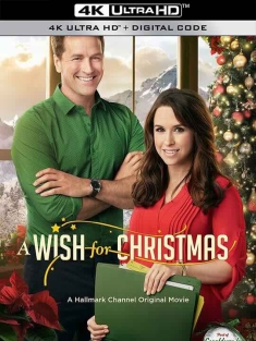 圣诞心愿 A Wish For Christmas (2016)